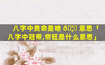 八字中贵命是啥 🦋 意思「八字中冠带,帝旺是什么意思」